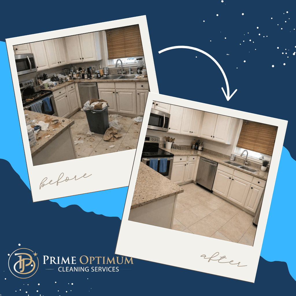 Spotless modern kitchen after professional cleaning